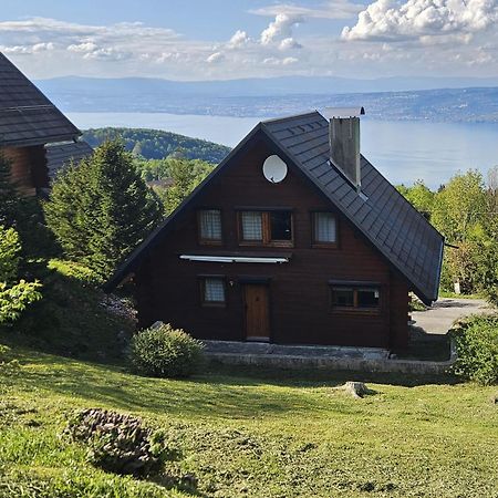 Thollon-les-Memises Chalet Les Alpages Vue Panoramique Sur Le Lac Leman מראה חיצוני תמונה